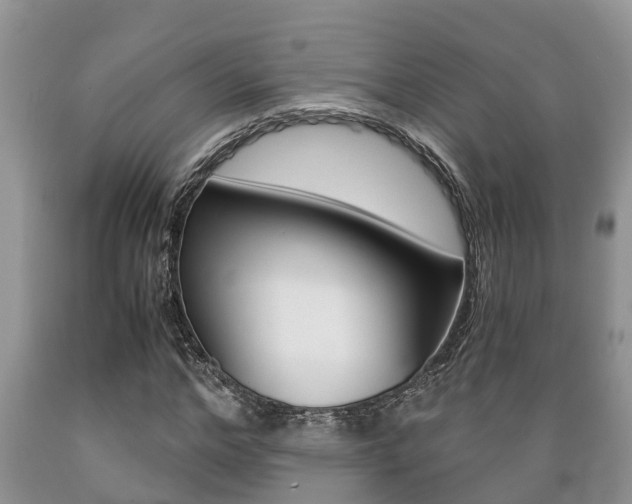X0000089730968200706210913