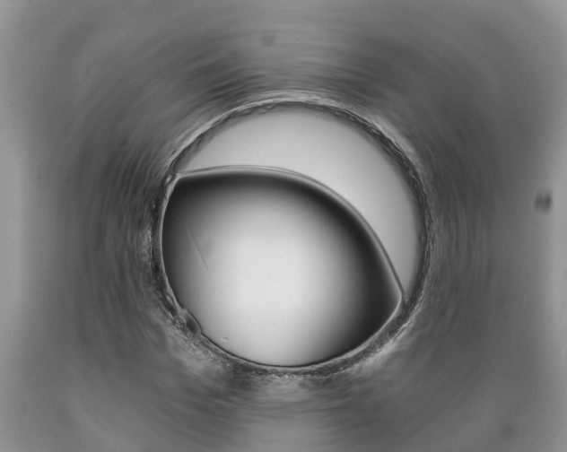 X0000089730969200706210913