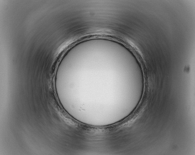 X0000089730970200706210913