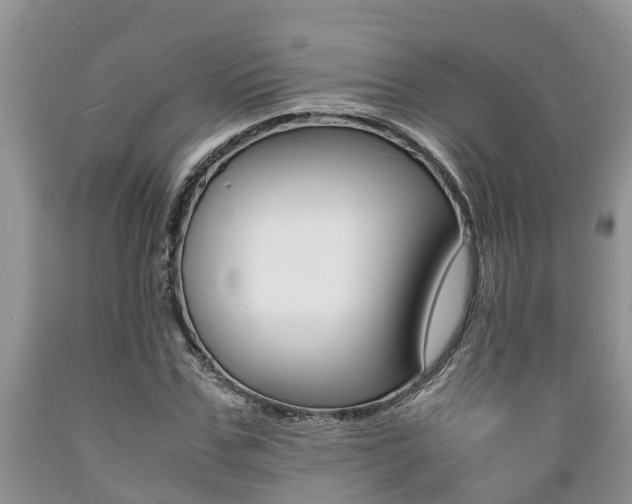 X0000089730971200706210913