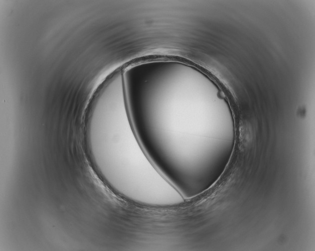 X0000089730972200706210913