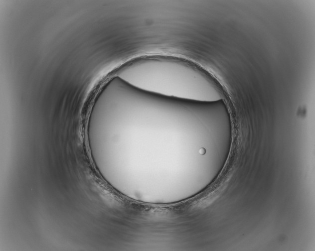 X0000089730974200706210912