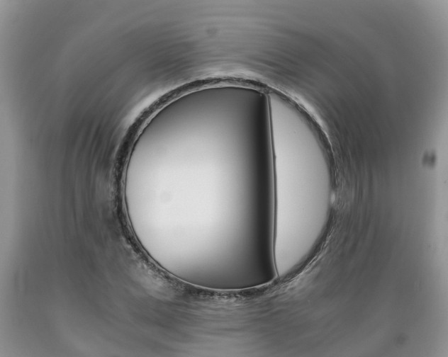 X0000089730975200706210912
