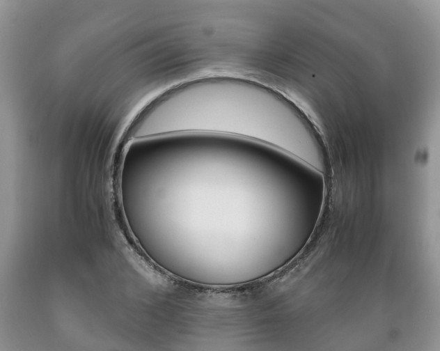 X0000089730976200706210912