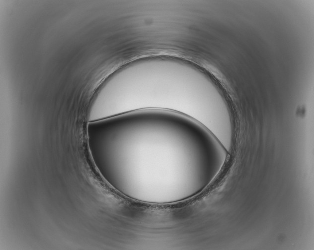 X0000089730977200706210912