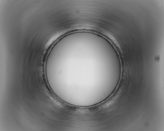 X0000089730978200706210912