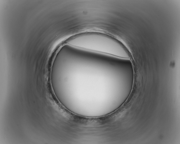 X0000089730979200706210912