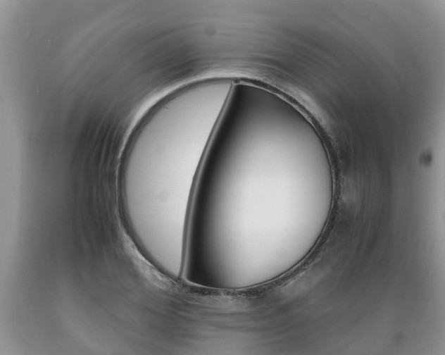 X0000089730980200706210912