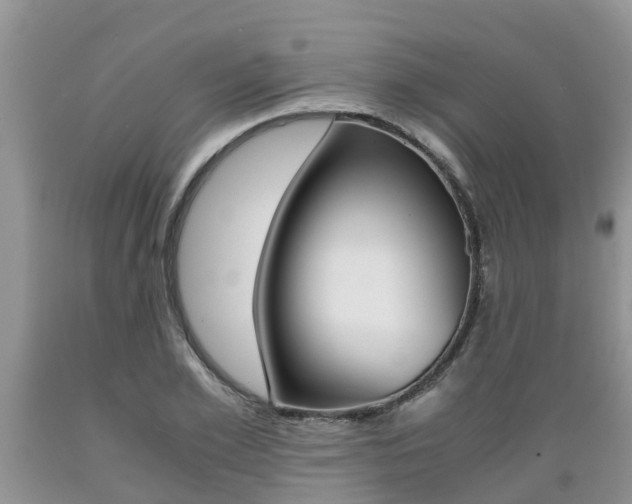 X0000089730981200706210912