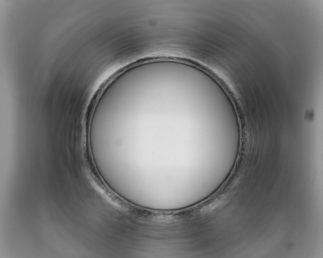 X0000089730982200706210912