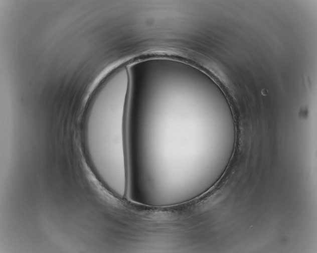 X0000089730984200706210912