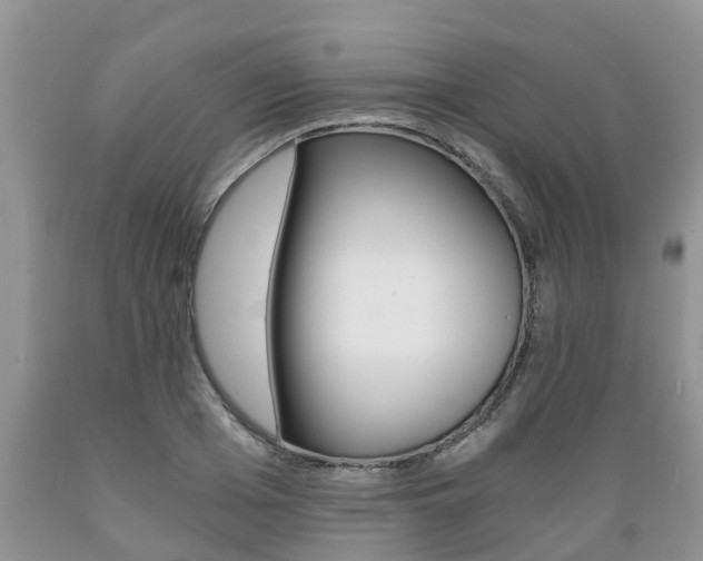 X0000089730985200706210912