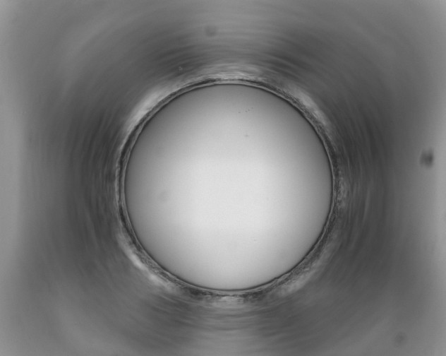 X0000089730986200706210912