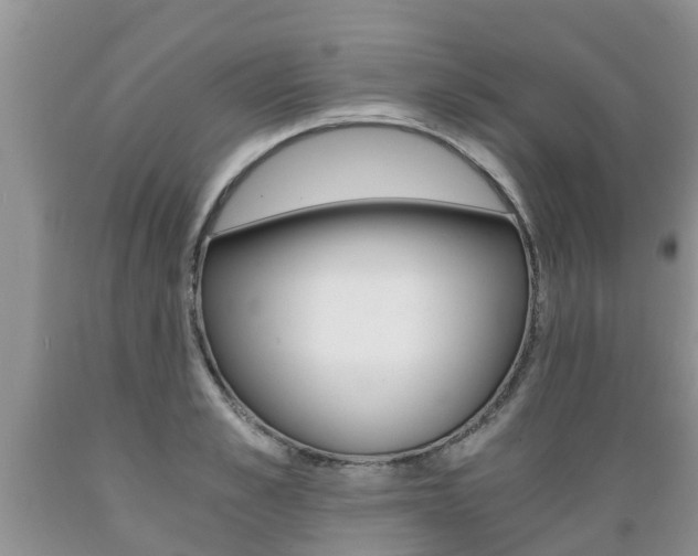 X0000089730989200706210912