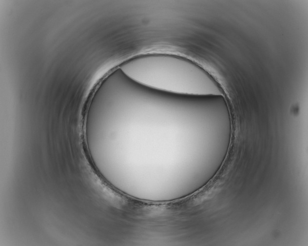 X0000089730990200706210912