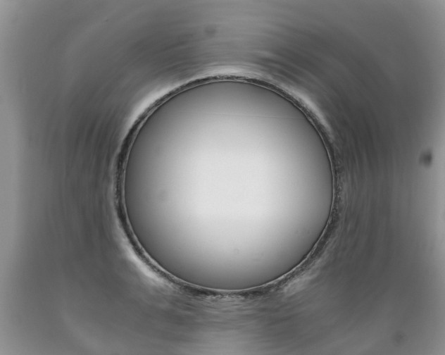 X0000089730991200706210912