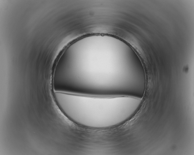 X0000089730992200706210912