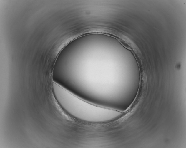 X0000089730993200706210912