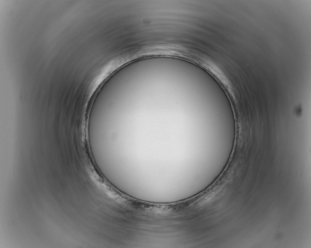 X0000089730994200706210912