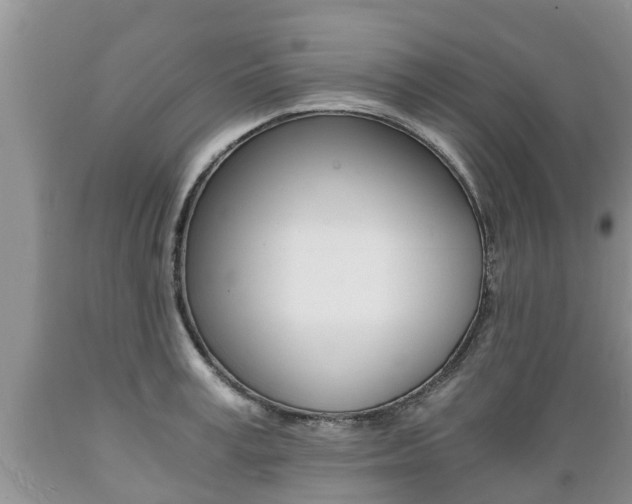 X0000089730995200706210912