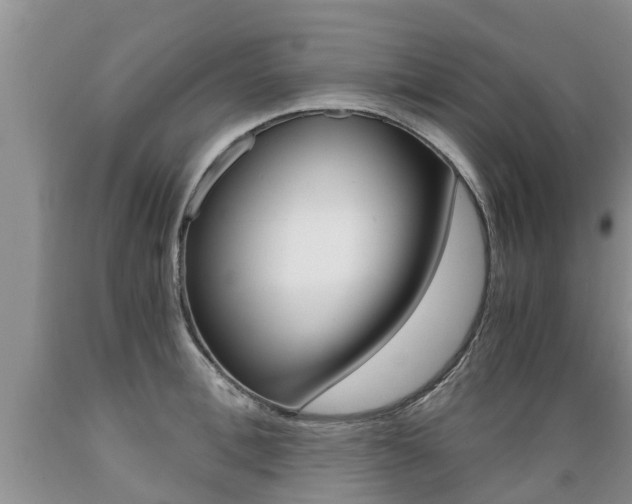 X0000089730996200706210912