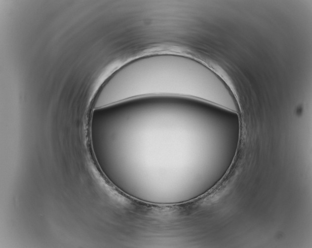 X0000089730997200706210912