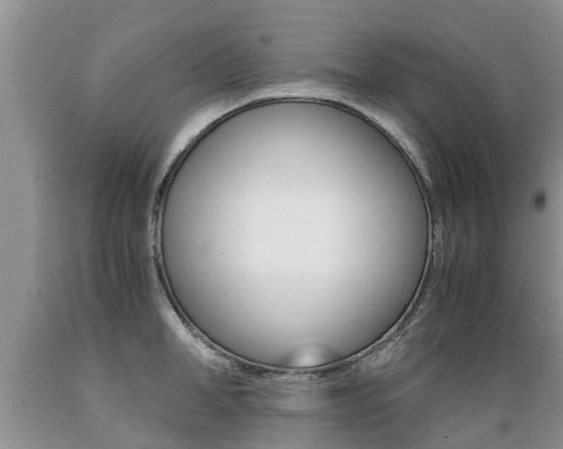 X0000089730998200706210912