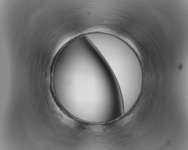 X0000089730999200706210912