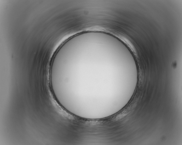 X0000089731000200706210912