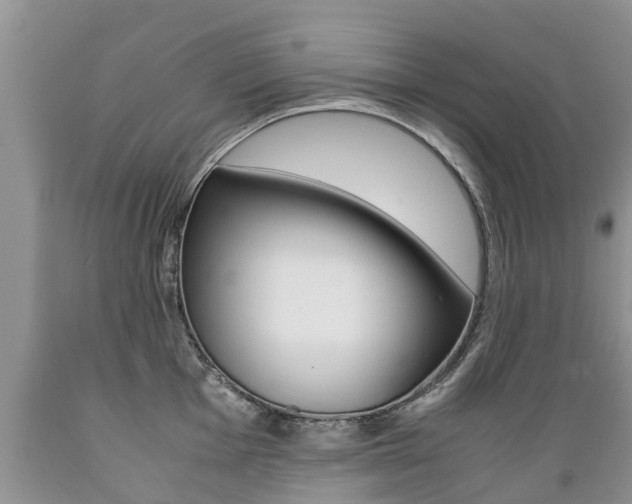X0000089731001200706210912