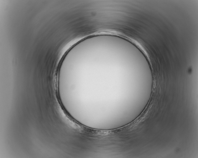 X0000089731003200706210912