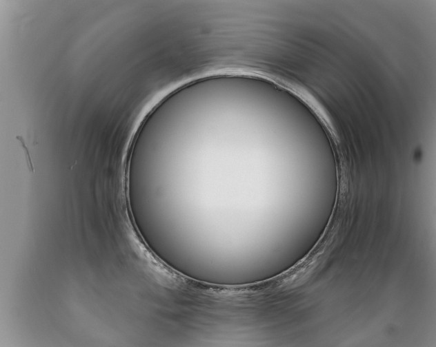 X0000089731004200706210912