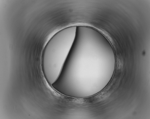 X0000089731006200706210912