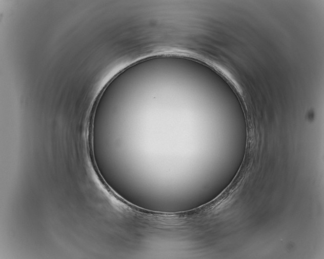X0000089731007200706210912