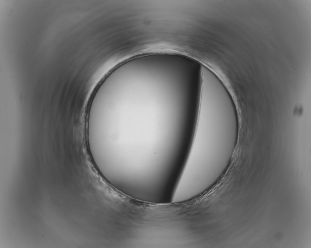 X0000089731008200706210912