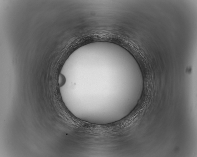X0000089731009200706210911