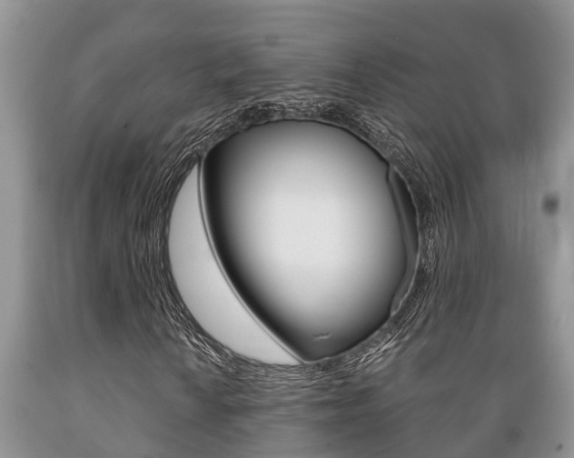 X0000089731010200706210911