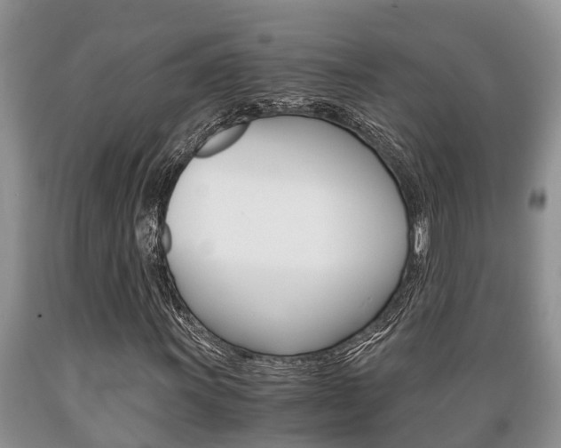 X0000089731011200706210911