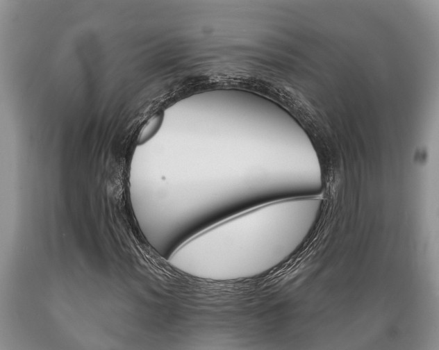 X0000089731012200706210911