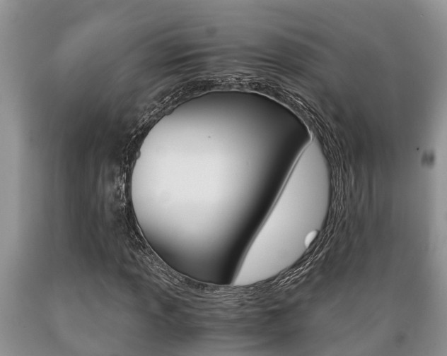 X0000089731013200706210911