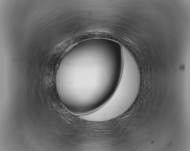 X0000089731014200706210911