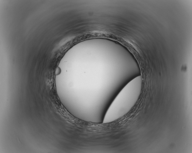 X0000089731015200706210911