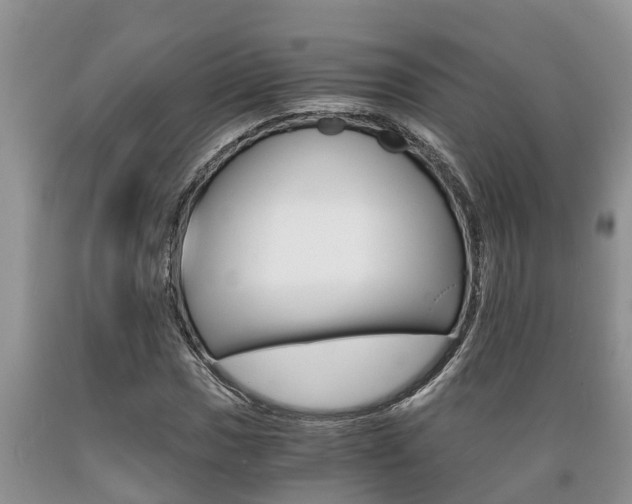 X0000089731017200706210911