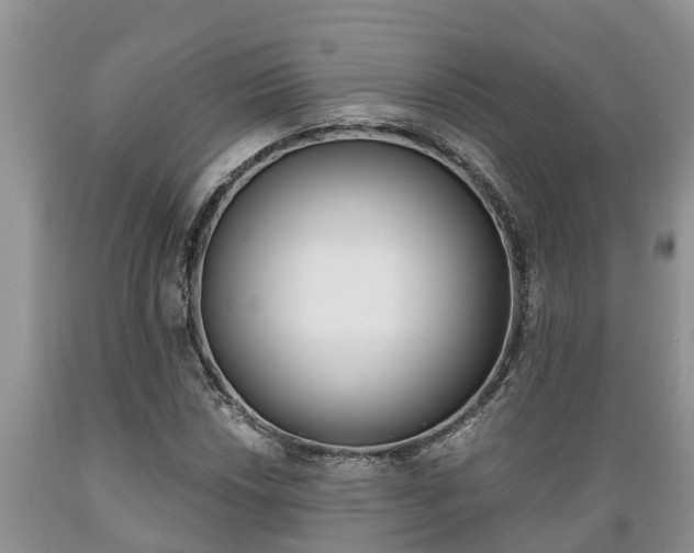 X0000089731018200706210911