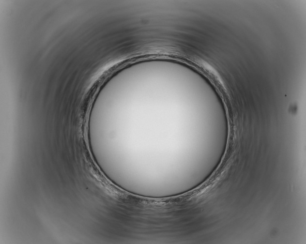 X0000089731019200706210911