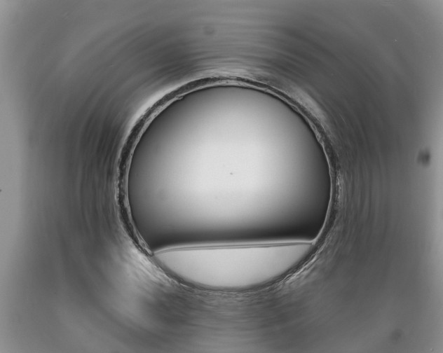 X0000089731020200706210912