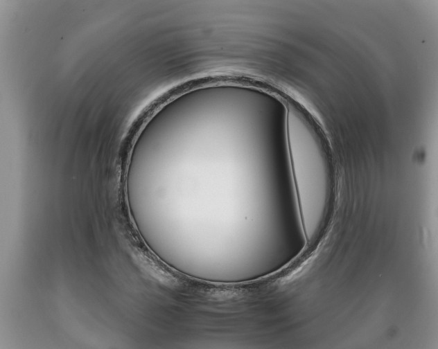 X0000089731021200706210912