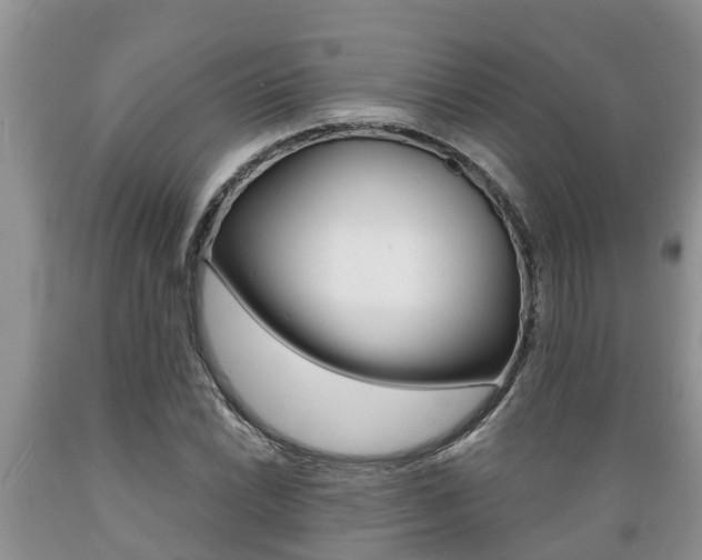 X0000089731022200706210912