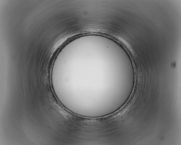 X0000089731023200706210912