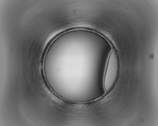 X0000089731024200706210912